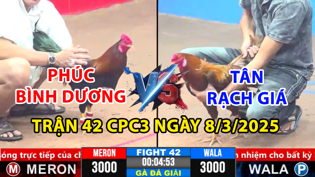 TRẬN 42 CPC3 NGÀY 8/3/2025 - CHÚ PHÚC BÌNH DƯƠNG VS TÂN RẠCH GIÁ 8 trận 42 cpc3 ngày 8/3/2025 hôm nay giữa chú phúc bình dương và tân rạch giá