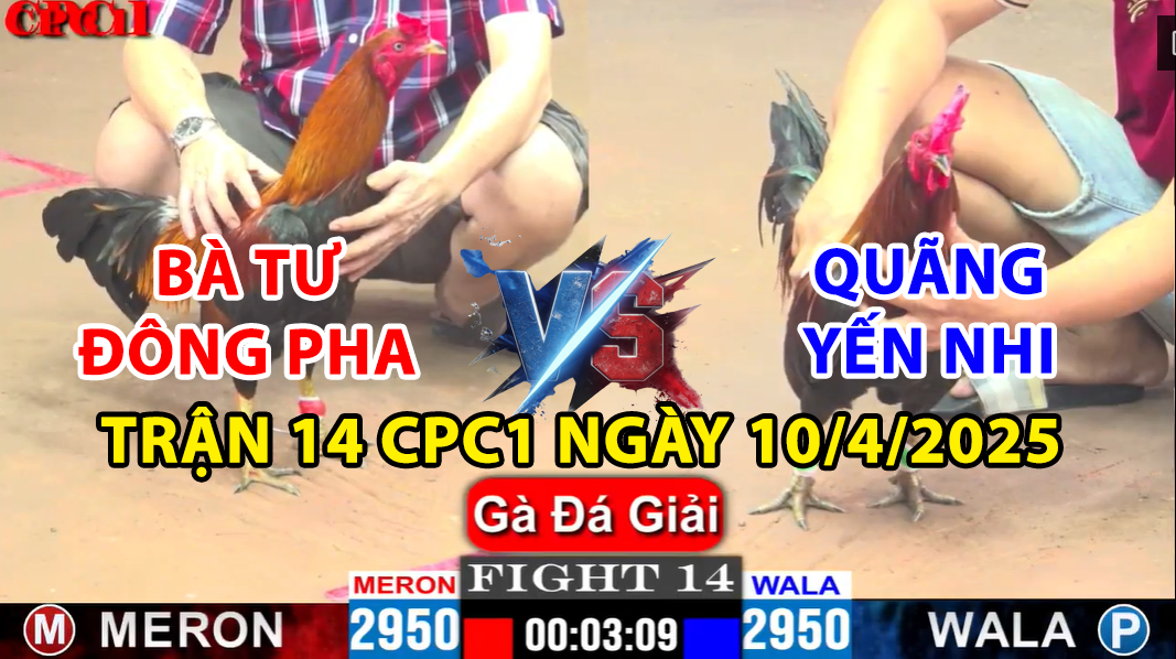 TRẬN 14 CPC1 NGÀY 10/4/2025 - QUÃNG YẾN NHI VS BÀ TƯ ĐÔNG PHA 4 trận 14 cpc1 ngày 10/4/2025 hôm nay giữa quãng yến nhi vs bà tư đông phan
