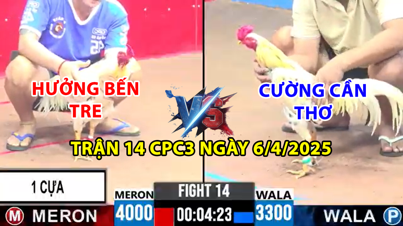 TRẬN 14 CPC3 NGÀY 6/4/2025 - HƯỞNG BẾN TRE VS CƯỜNG CẦN THƠ CHẤP 7 CHẤM GÀ 9 trận 14 cpc3 ngày 6/4/2025 hôm nay giữa hưởng bến tre vs cường cần thơ