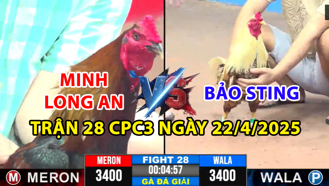 TRẬN 28 CPC3 NGÀY 22/4/2025 - ANH BẢO STING ĐỐI ĐẦU MÁ MINH 3 trận 28 cpc3 ngày 22/4/2025 hôm nay giữa bảo sting vs minh long an