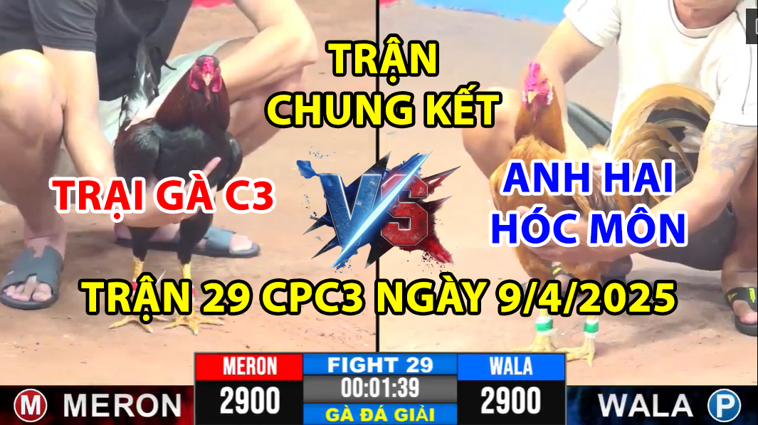 TRẬN 29 CPC3 NGÀY 9/4/2025 - CHUNG KẾT TRẠI GÀ C3 VÀ HAI HÓC MÔN 6 trận 29 cpc3 ngày 9/4/2025 hôm nay giữa trại gà c3 và hai hóc môn