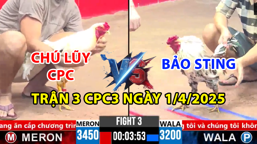 TRẬN 3 CPC3 NGÀY 1/4/2025 - CHÚ LŨY CPC VS BẢO STING 4 trận 3 cpc3 ngày 1/4/2025 hôm nay giữa bảo sting vs chú lũy cpc