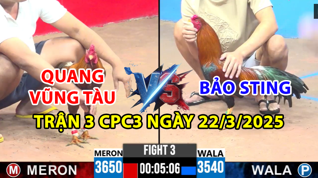 TRẬN 3 CPC3 NGÀY 22/4/2025 - BẢO STING VS QUANG VŨNG TÀU 1 trận 3 cpc3 ngày 22/4/2025 hôm nay giữa bảo sting và quang vũng tàu