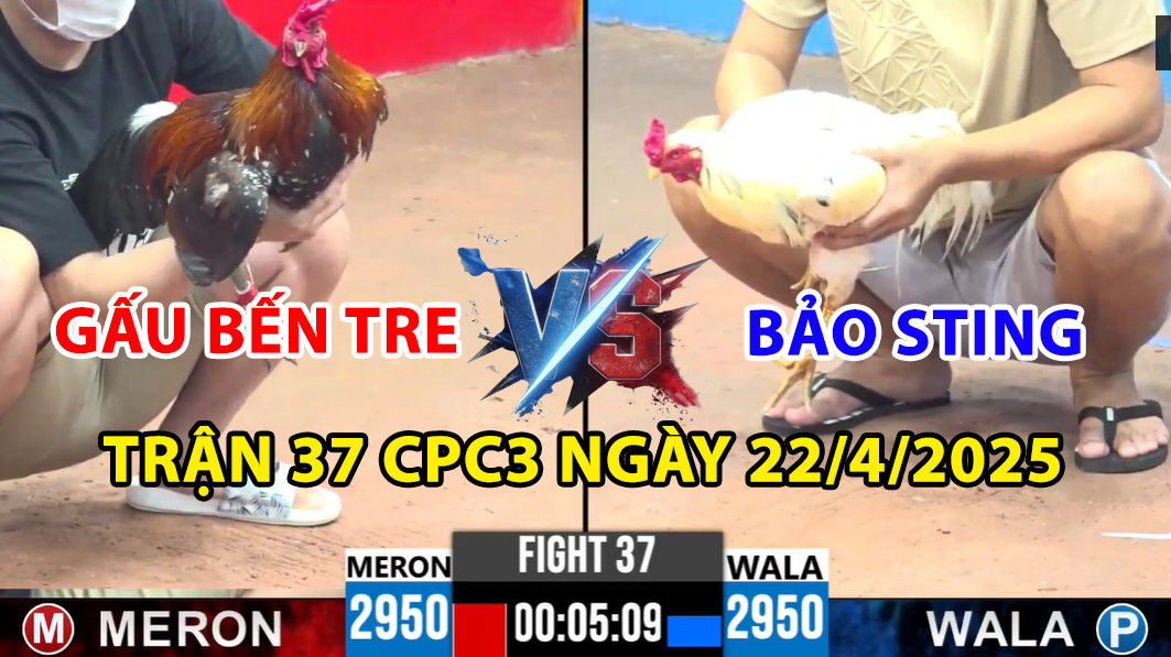 TRẬN 37 CPC3 NGÀY 22/4/2025 - BẢO STING VS GẤU BẾN TRE 1 trận 37 cpc3 ngày 22/4/2025 hôm nay giữa bảo sting vs gấu bến tre