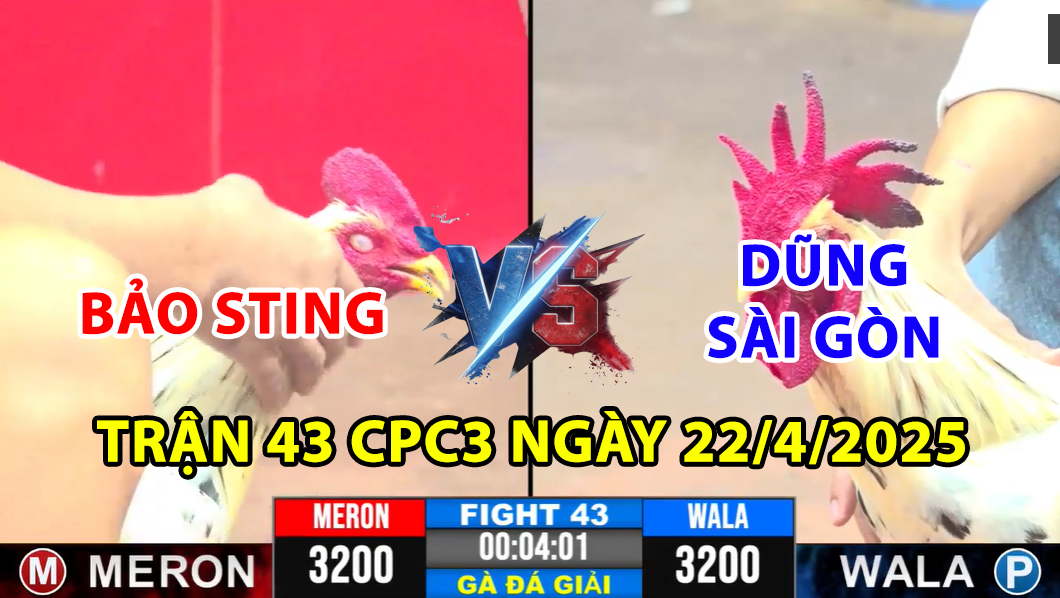 TRẬN 43 CPC3 NGÀY 22/4/2025 - BẢO STING VS DŨNG SÀI GÒN TRẬN ĐẤU MÃN NHÃN 10 trận 43 cpc3 ngày 22/4/2025 hôm nay giữa bảo sting vs dũng sài gòn