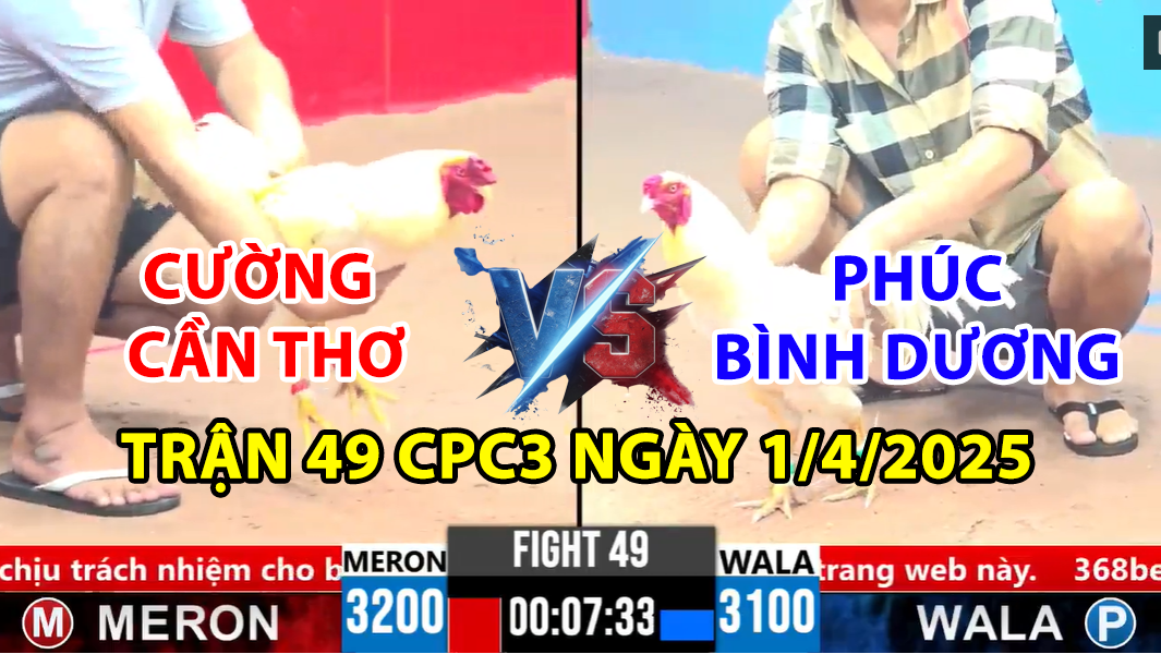 TRẬN 49 CPC3 NGÀY 1/4/2025 - BẢO STING NÀI GÀ CHO CHÚ PHÚC BD 2 trận 49 cpc3 ngày 1/4/2025 hôm nay giữa cường cần thơ vs phúc bình dương
