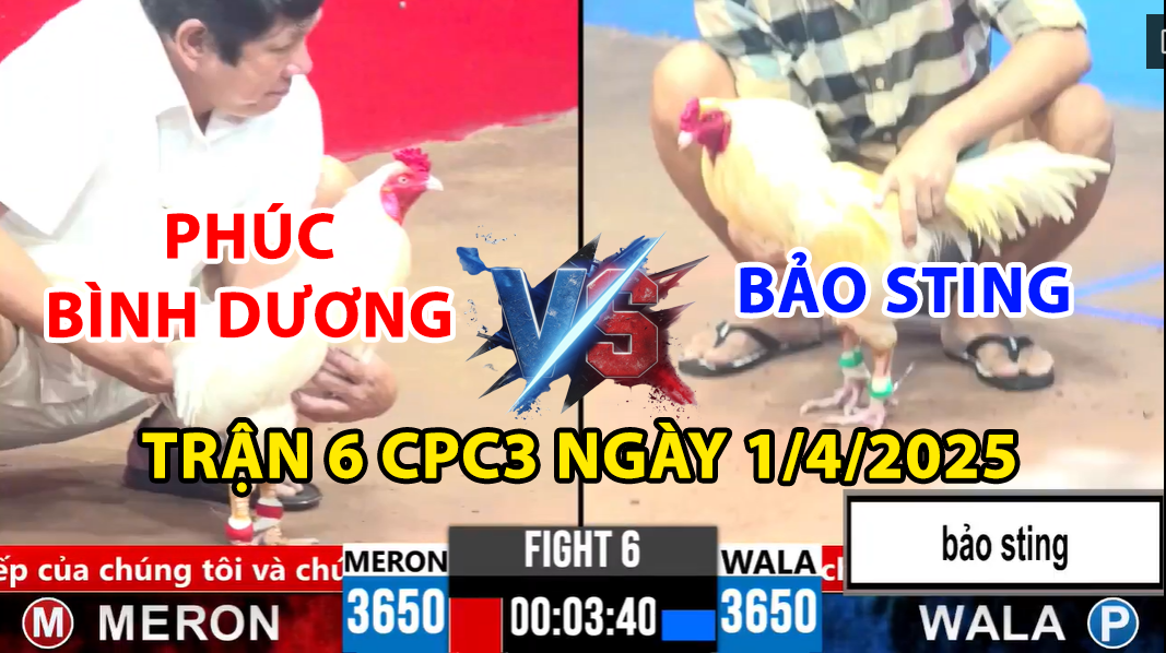 TRẬN 6 CPC3 NGÀY 1/4/2025 - BẢO STING VS PHÚC BÌNH DƯƠNG XỔ 1 TỶ 7 trận 6 cpc3 ngày 1/4/2025 hôm nay giữa bảo sting vs phúc bình dương