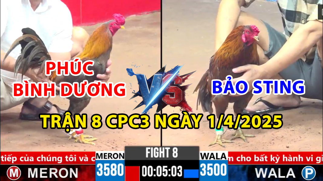 TRẬN 8 CPC3 NGÀY 1/4/2025 - BẢO STING THUA XỔ 500 TRƯỚC PHÚC BÌNH DƯƠNG 6 trận 8 cpc3 ngày 1/4/2025 hôm nay giữa bảo sting vs phúc bình dương