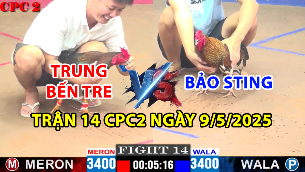 TRẬN 14 CPC2 NGÀY 9/5/2025 - GÀ CÚ BẢO STING LẬT KÈO ĐÂM GÀ QUE 5 trận 14 cpc2 ngày 9/5/2025 hôm nay giữa bảo sting và trung bến tre