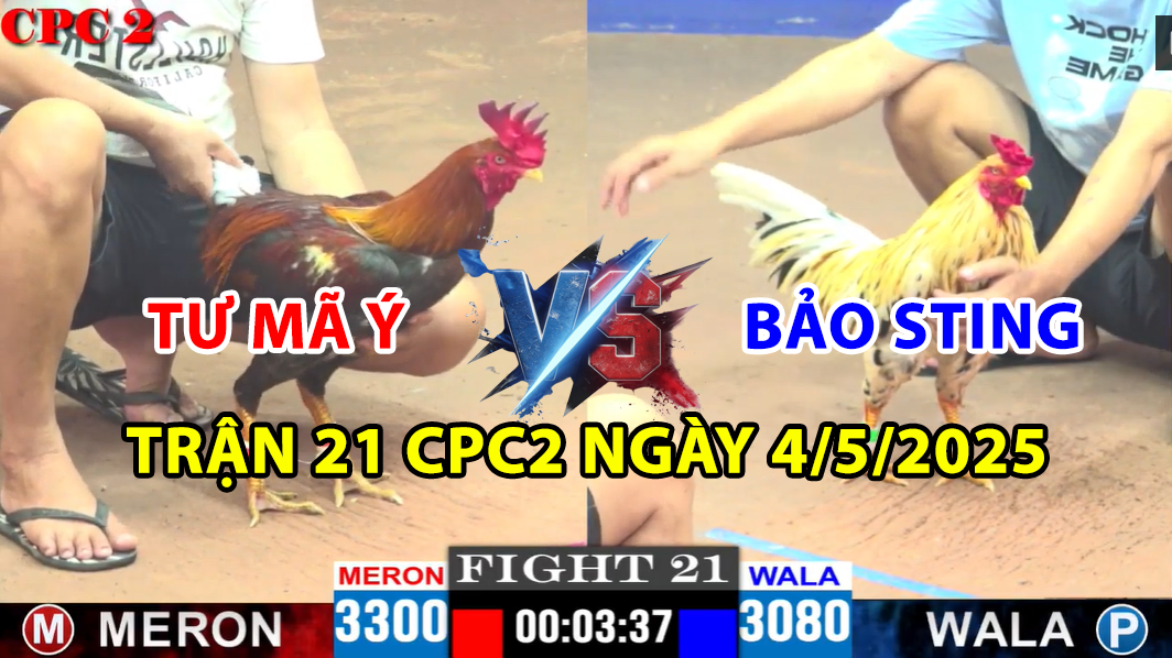 TRẬN 21 CPC2 NGÀY 4/5/2025 - LẠI LÀ BƯỚM HIỆU CỦA BẢO STING 7 trận 21 cpc2 ngày 4/5/2025 hôm nay giữa bảo sting và tư mã ý