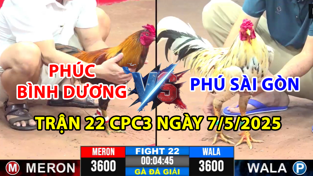 TRẬN 22 CPC3 NGÀY 7/5/2025 - PHÚC BÌNH DƯƠNG B VS PHÚ SÀI GÒN 4 trận 22 cpc3 ngày 7/5/2025 hôm nay giữa phú sài gòn và phúc bình dương