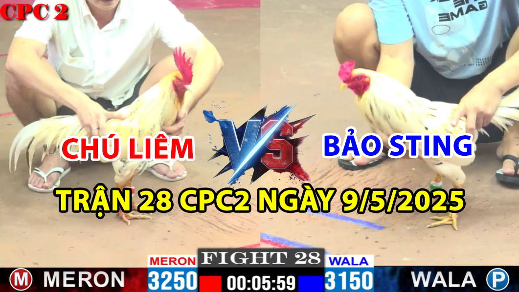 TRẬN 28 CPC2 NGÀY 9/5/2025 - 2 BƯỚM HIỆU GĂP NHAU SẼ RA SAO 10 trận 28 cpc2 ngày 9/5/2025 hôm nay giữa bảo sting và chú liêm