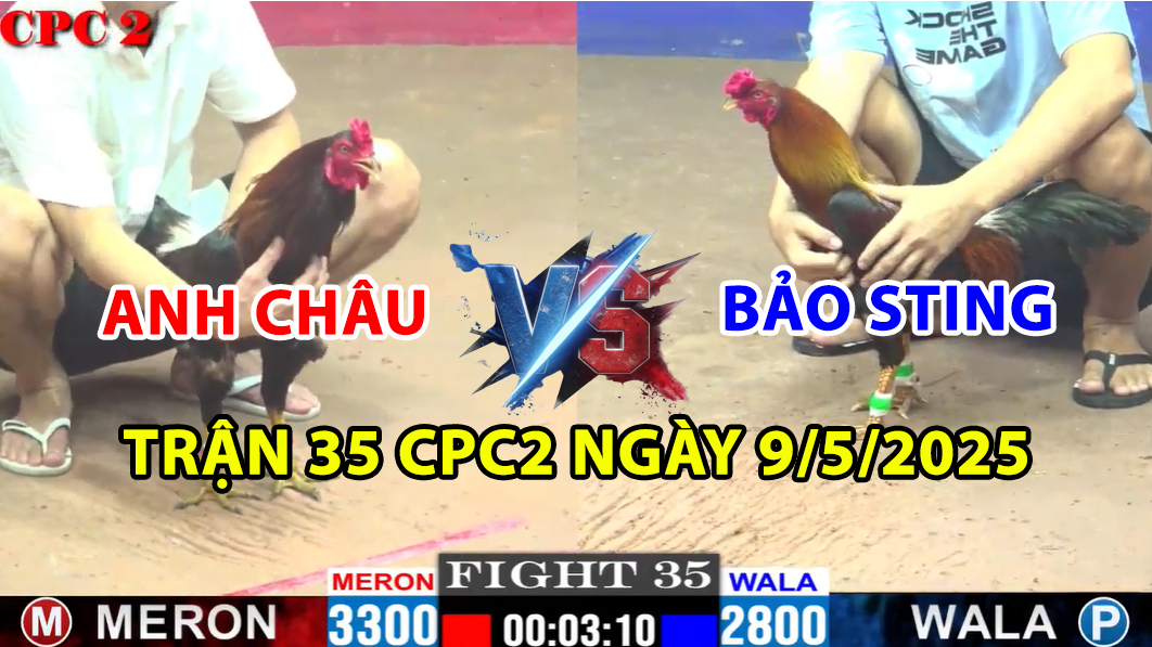 TRẬN 35 CPC2 NGÀY 9/5/2025 - ĐẲNG CẤP BẢO STING CHẤP 5 CHẤM GÀ 8 trận 35 cpc2 ngày 9/5/2025 hôm nay giữa bảo sting và anh châu