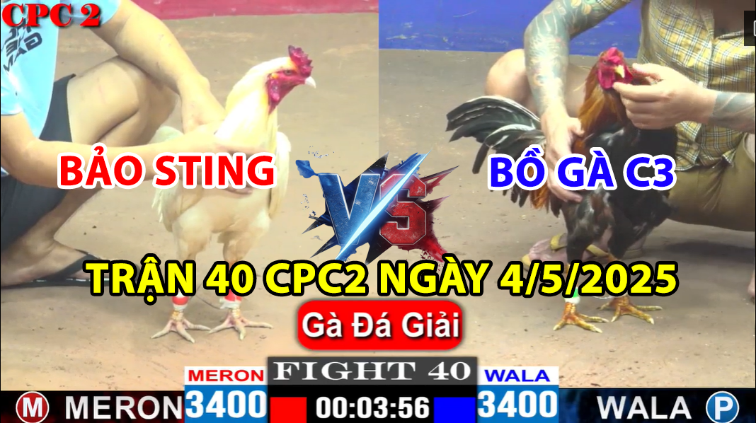TRẬN 40 CPC2 NGÀY 4/5/2025 - BẢO STING HẠ ĐẸP BỒ GÀ C3 LẤY 9 ĐIỂM 3 trận 40 cpc2 ngày 4/5/2025 hôm nay giữa bảo sting và bồ gà c3