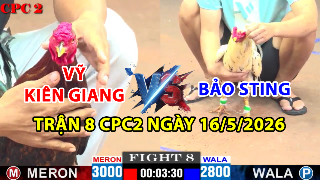 TRẬN 8 CPC2 NGÀY 16/5/2025 - BẢO STING VS VỸ KIÊN GIANG 5 trận 8 ccp2 ngày 16/5/2025 hôm nay giữa bảo sting và vỹ kiên giang