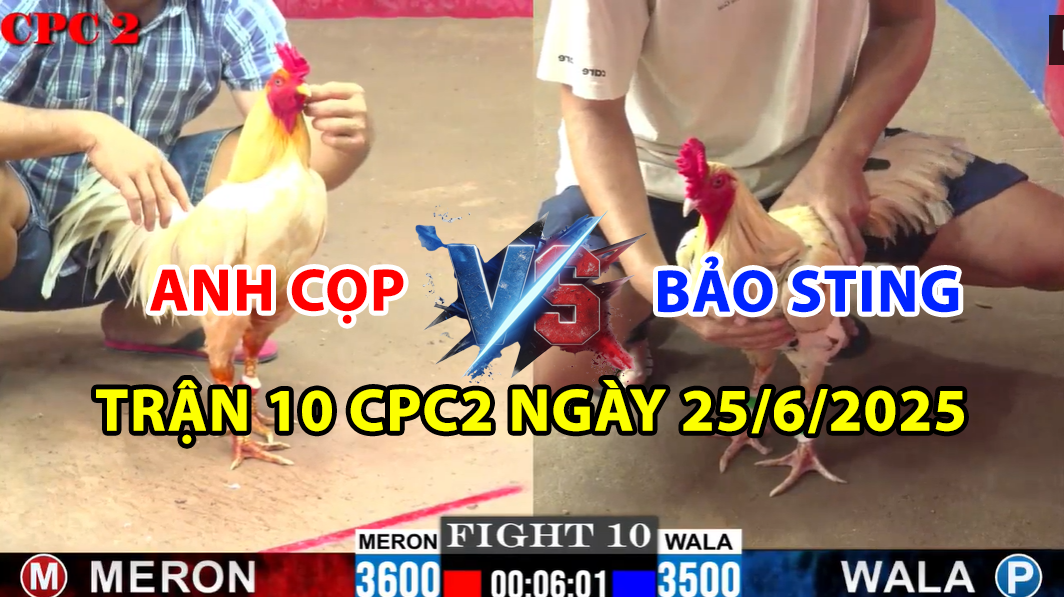 TRẬN 10 CPC2 NGÀY 25/6/2025 - ANH CỌP VS BẢO STING BƯỚM HIỆU LÊN TIẾNG 7 trận 10 cpc2 ngày 25/6/2025 hôm nay giữa anh cọp vs bảo sting