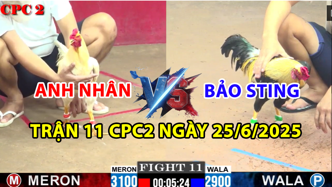 TRẬN 11 CPC2 NGÀY 25/6/2025 - ANH NHÂN VS BẢO STING 6 trận 11 cpc2 ngày 25/6/2025 hôm nay giữa anh nhân và bảo sting