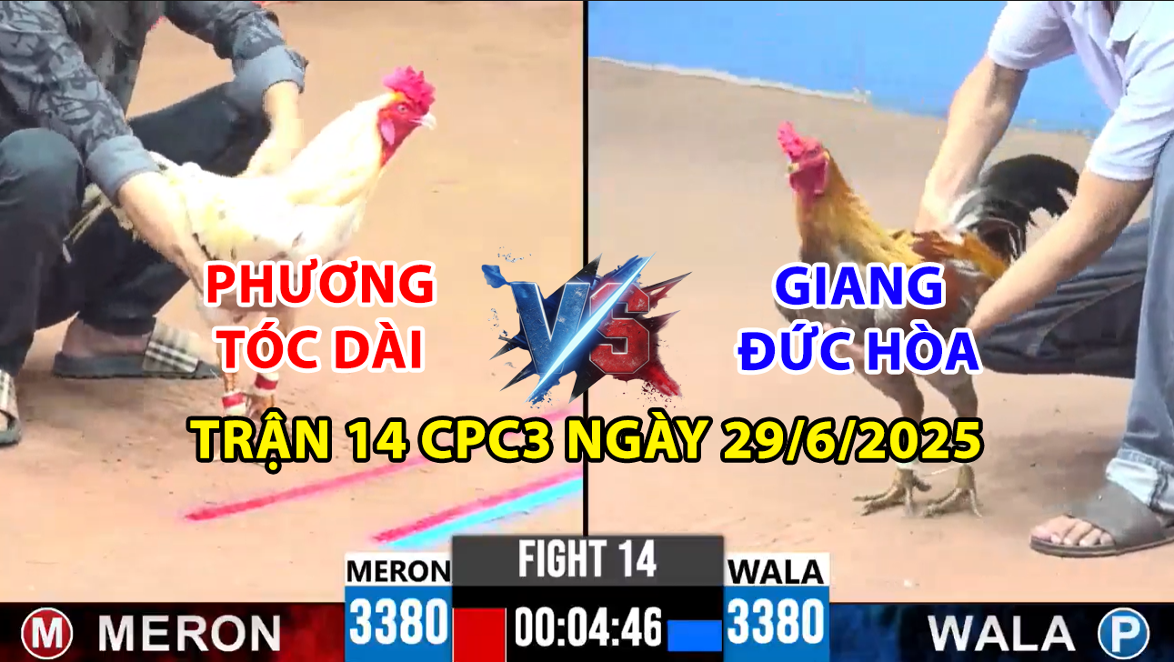 TRẬN 14 CPC3 NGÀY 29/6/2025 - PHƯƠNG TÓC DÀI VS GIANG ĐỨC HÒA 4 trận 14 cpc3 ngày 29/6/2025 hôm nay giữa phương tóc dài và giang đức hòa