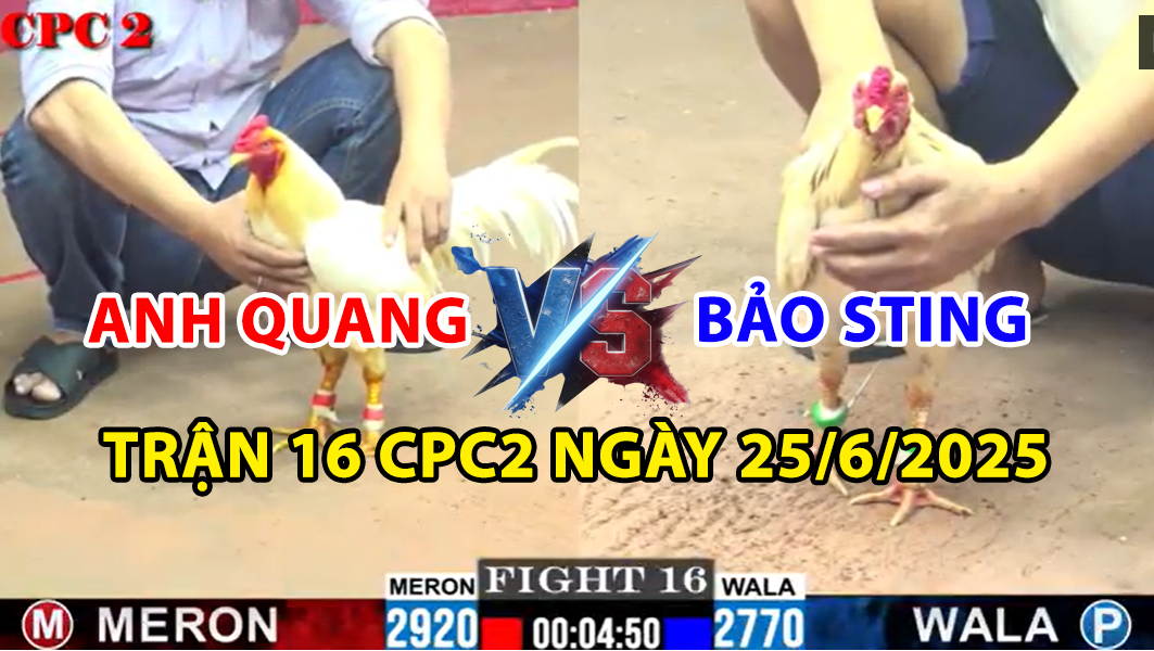 TRẬN 16 CPC2 NGÀY 25/6/2025 - ANH QUANG VS BẢO STING RỚT NÀI 4 trận 16 cpc2 ngày 25/6/2025 hôm nay giữa bảo sting và anh quang