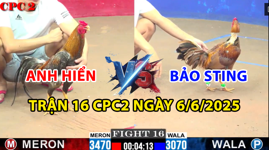 TRẬN 16 CPC2 NGÀY 6/6/2025 - BẢO STING THẢ GÀ GIÙM ĐẤU VỚI ANH HIỂN 8 trận 16 cpc2 ngày 6/6/2025 hôm nay giữa bảo sting vs anh hiển