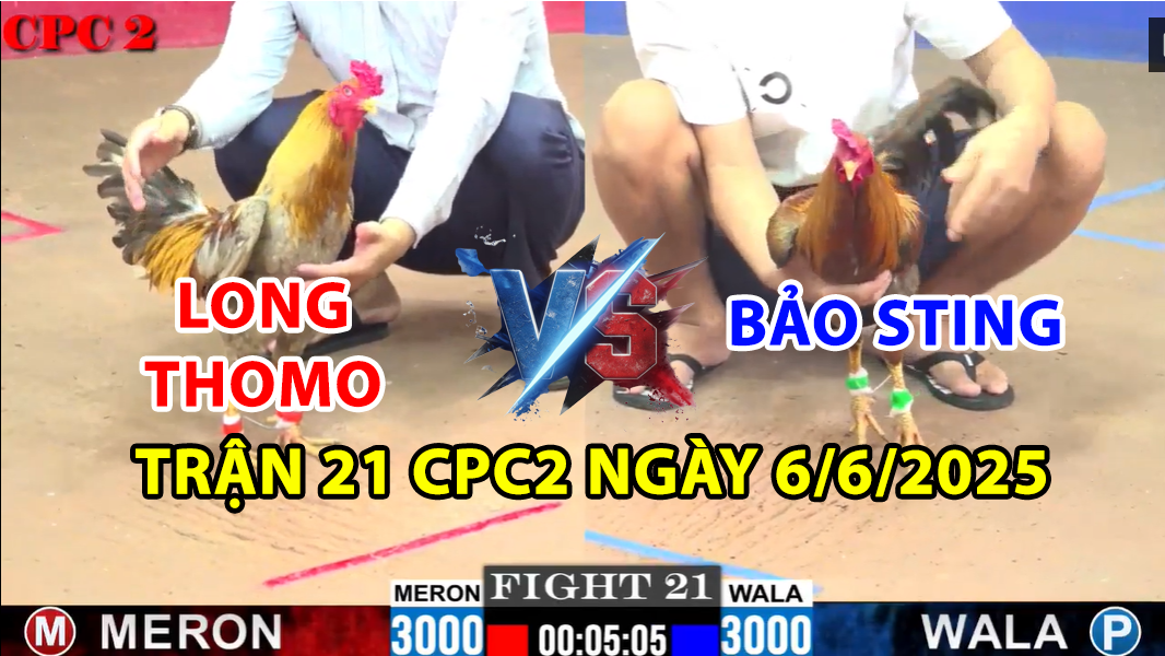 TRẬN 21 CPC2 NGÀY 6/6/2025 - BẢO STING VS LONG THOMO ĐÁ ĐỒNG 50 7 trận 21 cpc2 ngày 6/6/2025 hôm nay giữa bảo sting vs long thomo