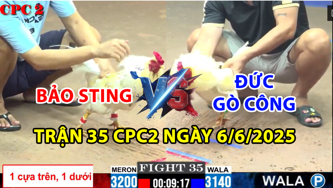 TRẬN 35 CPC2 NGÀY 6/6/2025 - BƯỚM HIỆU BẢO STING CHẤP 1 CỰA TRÊN 1 CỰA DƯỚI 5 trận 35 cpc2 ngày 6/6/2025 hôm nay giữa bảo sting vs đức gò công