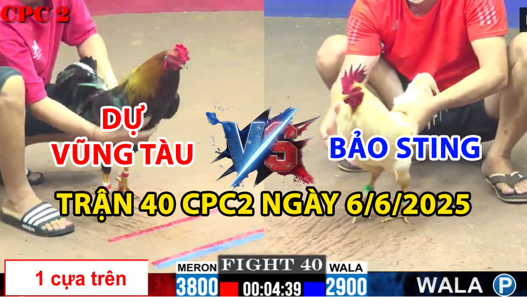TRẬN 40 CPC2 NGÀY 6/6/2025 - BẢO STING CHẤP 9 CHẤM GÀ ĐỐI ĐẦU DỰ VŨNG TÀU 4 trận 40 cpc2 ngày 6/6/2025 hôm nay giữa bảo sting vs dự vũng tàu