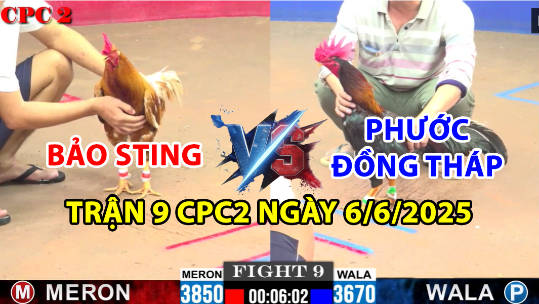 TRẬN 9 CPC2 NGÀY 6/6/2025 - BẢO STING VS PHƯỚC ĐỒNG THÁP 10 trận 9 cpc2 ngày 6/6/2025 hôm nay giữa bảo sting và phước đồng tháp