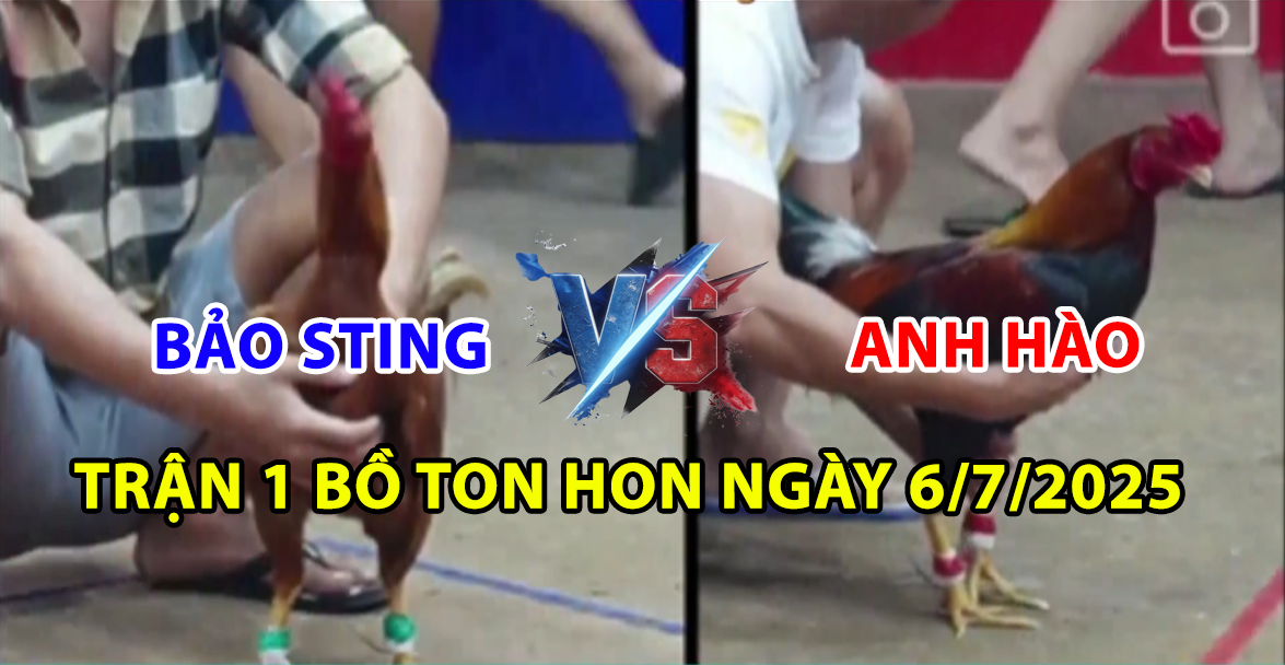 TRẬN 1 BỒ TON HON NGÀY 6/7/2025 - BẢO STING QUA BỒ TON HON LỤM LÚA 5 trận 1 bồ ton hon ngày 6/7/2025 hôm nay giữa bảo sting vs anh hào