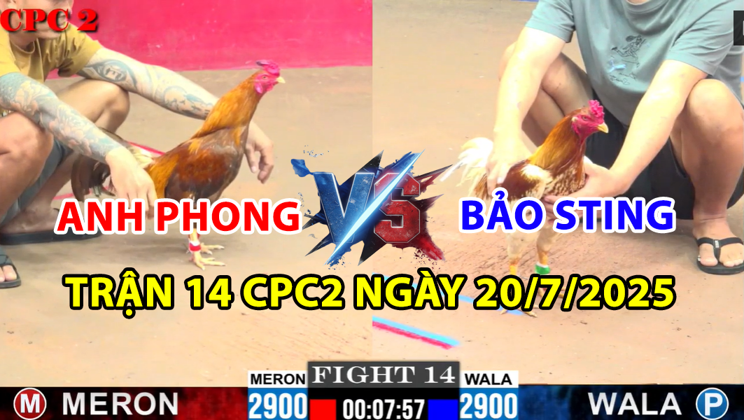 TRẬN 14 CPC2 NGÀY 20/7/2025 - ANH PHONG ĐỐI ĐẦU CAMELO BẢO STING 8 trận 14 cpc2 ngày 20/7/2025 hôm nay giữa bảo sting và anh phong