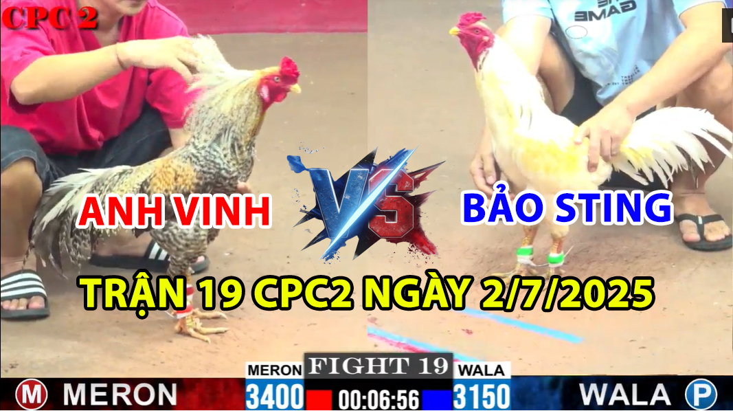 TRẬN 19 CPC2 NGÀY 2/7/2025 - GÀ BƯỚM BẢO STING VS GÀ CÚ ANH VINH 1 trận 19 cpc2 ngày 2/7/2025 hôm nay giữa bảo sting vs anh vinh