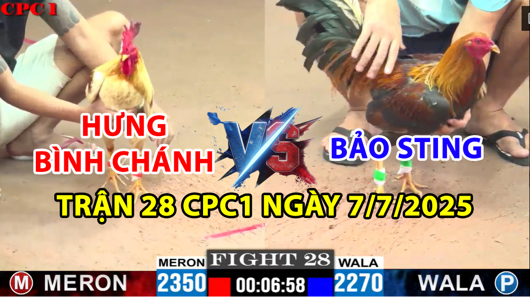 TRẬN 28 CPC1 NGÀY 7/7/2025 - GÀ ĐIỀU BẢO STING BỊ CALMELO HẠ ĐẸP 8 trận 28 cpc1 ngày 7/7/2025 hôm nay giữa bảo sting vs hưng bình chánh