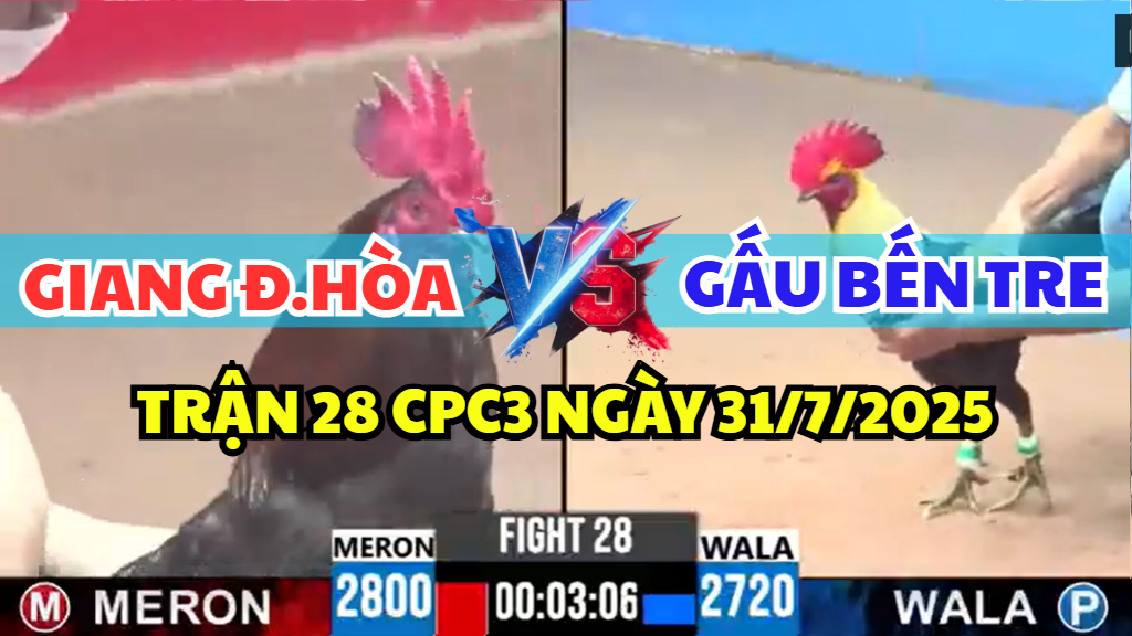 TRẬN 28 CPC3 NGÀY 31/7/2025 - GIANG ĐỨC HÒA ĐỐI ĐẦU GẤU BẾN TRE 2 trận 28 cpc3 ngày 31/7/2025 hôm nay giữa giang đức hòa vs gấu bến tre