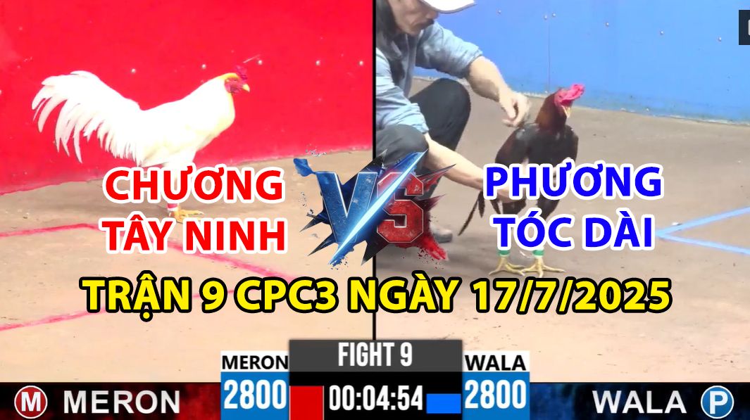 TRẬN 9 CPC3 NGÀY 17/7/2025 - ANH PHƯƠNG TÓC DÀI TIẾP TỤC PHẢI VUỐT ÓI CHO GÀ 1 trận 9 cpc3 ngày 17/7/2025 hôm nay giữa chương tây ninh vs phương tóc dài