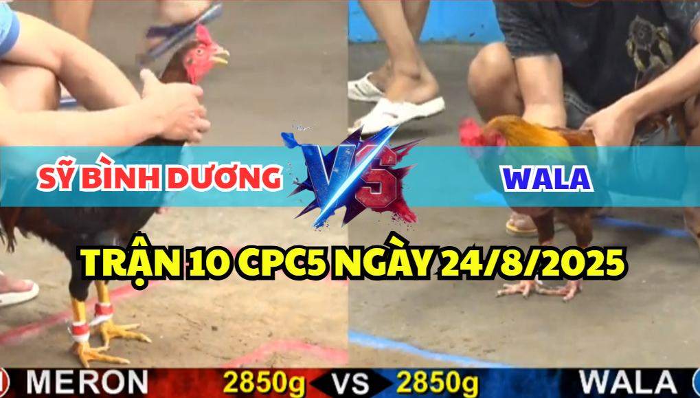 TRẬN 10 CPC5 NGÀY 24/8/2025 - KHÉT DÍ ĐIỀU TÉ XE LIÊN TỤC 8 trận 10 cpc5 ngày 24/8/2025 sỹ bình dương hôm nay