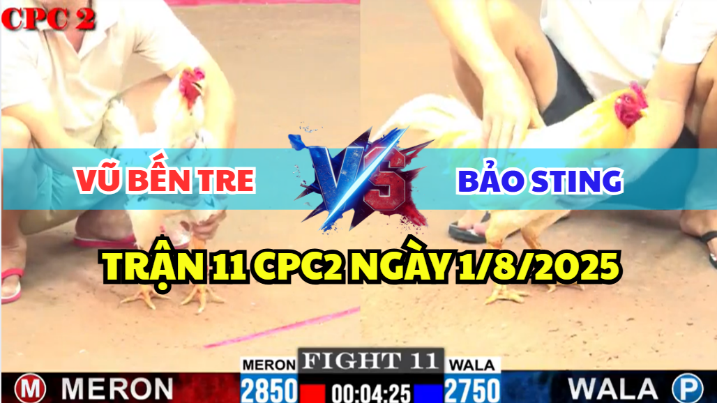 TRẬN 11 CPC2 NGÀY 1/8/2025 - VŨ BẾN TRE ĐỐI ĐẦU BẢO STING 4 trận 11 cpc2 ngày 1/8/2025 hôm nay giữa bảo sting và vũ bến tre