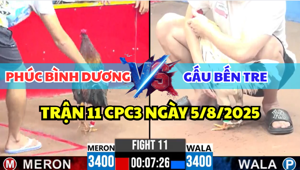 TRẬN 11 CPC3 NGÀY 5/8/2025 - PHÚC BÌNH DƯƠNG VS GẤU BẾN TRE XỔ 300 5 trận 11 cpc3 ngày 5/8/2025 hôm nay giữa chú phúc bình dương và gấu bến tre