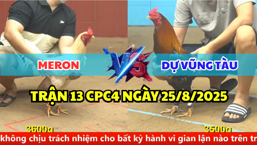 TRẬN 13 CPC4 NGÀY 25/8/2025 - GÀ ĐIỀU ANH DỰ VŨNG TÀU BỊ ĐÁ NHƯ XE ĐỤNG 3 trận 13 cpc4 ngày 25/8/2025 dự vũng tàu hôm nay