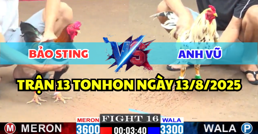TRẬN 13 TONHON NGÀY 13/8/2025 - BẢO STING GIAO LƯU ANH VŨ TẠI TONHON CÁI XỔ 200 3 trận 13 tonhon ngày 13/8/2025 hôm nay giữa bảo sting và anh vũ giao lưu xổ 200