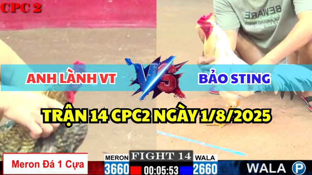 TRẬN 14 CPC2 NGÀY 1/8/2025 - IDOL BẢO STING CHẤP TRẠNG 1KG 2 trận 14 cpc2 ngày 1/8/2025 hôm nay giữa bảo sting vs anh lành vũng tàu