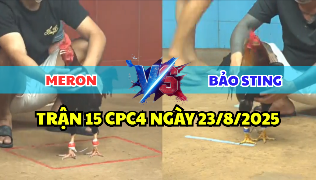 TRẬN 15 CPC4 NGÀY 23/8/2025 - GÀ ĐIỀU ANH BẢO STING CHƠI THUỐC LẮC 1 trận 15 cpc4 ngày 23/8/2025 bảo sting hôm nay