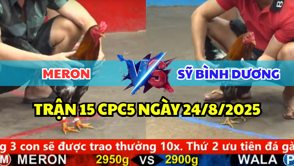 TRẬN 15 CPC5 NGÀY 24/8/2025 - ĐIỀU ĐỎ KHÔN KHÉO TỐC PHẢN KHIẾN ĐIỀU XANH BỎ CHẠY 7 trận 15 cpc5 ngày 24/8/2025 sỹ bình dương hôm nay