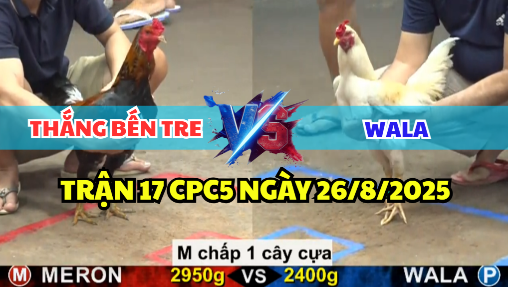 TRẬN 17 CPC5 NGÀY 26/8/2025 - THẮNG BẾN TRE CHẤP NGÔNG NGUYÊN 1 CÂY CỰA 2 trận 17 cpc5 ngày 26/8/2025 thắng bến tre hôm nay