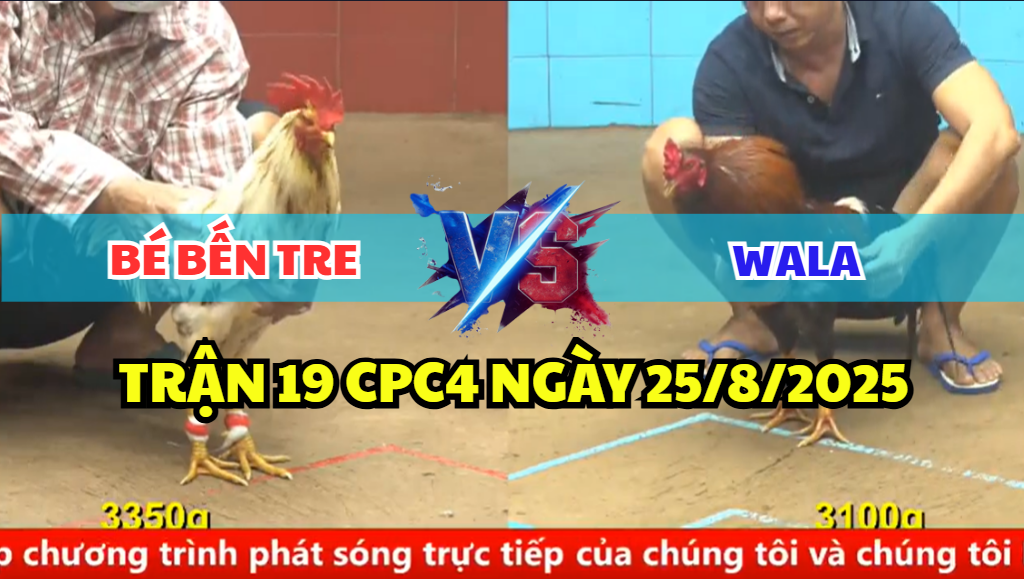 TRẬN 19 CPC4 NGÀY 25/8/2025 - MẺ BƯỚM THÁI CỦA ANH BÉ BẾN TRE DẬP NHƯ MÁY 2 trận 19 cpc4 ngày 25/8/2025 bé bến tre hôm nay