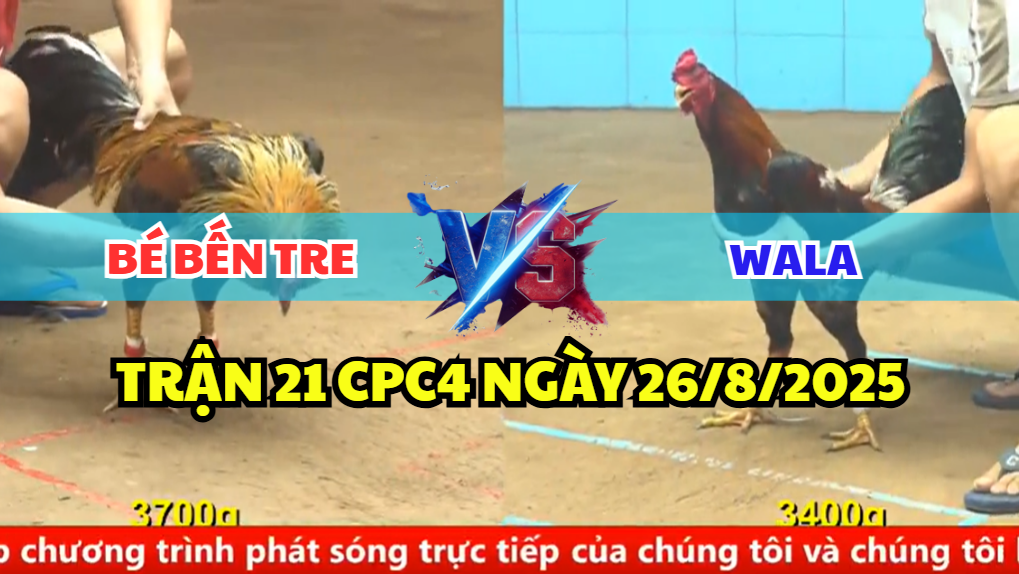 TRẬN 21 CPC4 NGÀY 26/8/2025 - ANH BÉ BẾN TRE HƠN 3 CHẤM VẪN ĐỂ THUA LỌT 8 trận 21 cpc4 ngày 26/8/2025 bé bến tre hôm nay