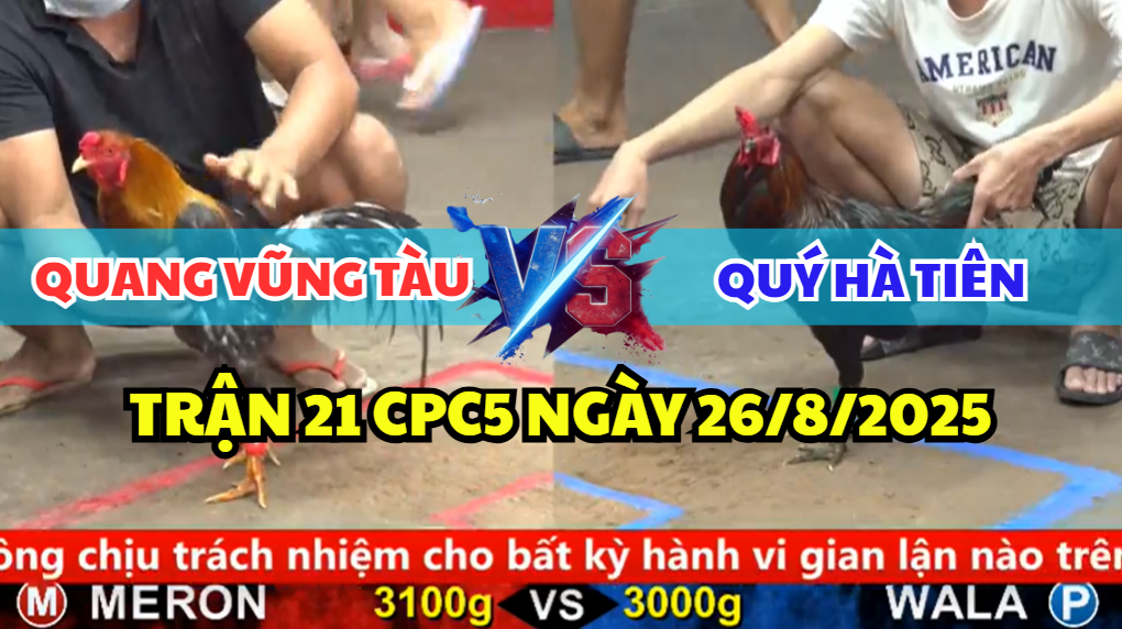 TRẬN 21 CPC5 NGÀY 26/8/2025 - XÁM CỌP RA CHÂN QUE KÊU ÓI 1 trận 21 cpc5 ngày 26/8/2025 hôm nay