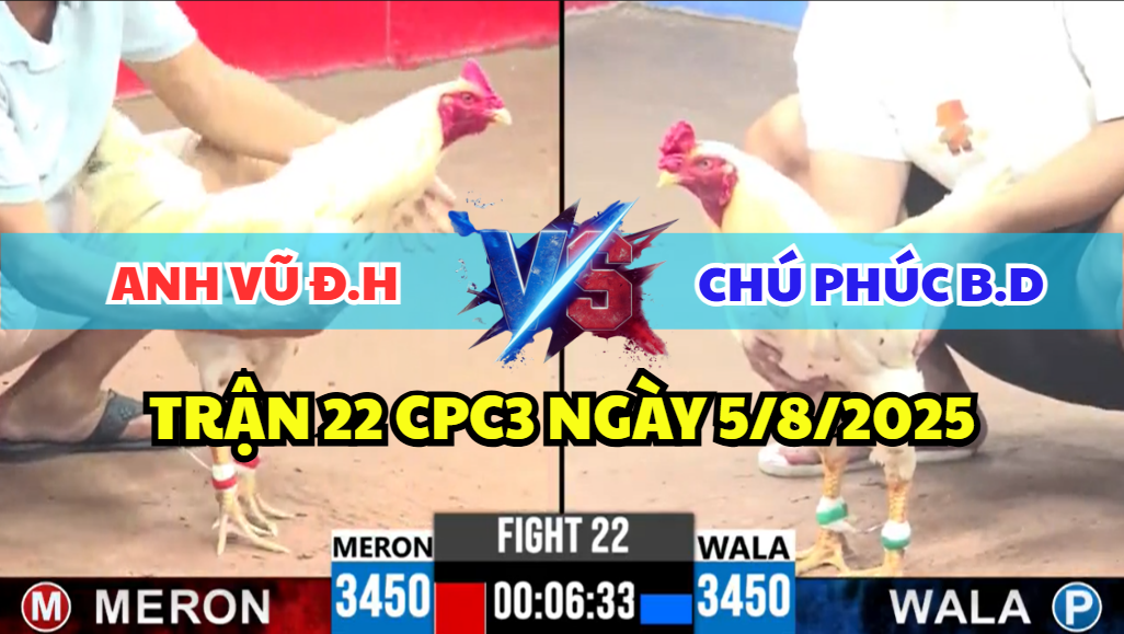 TRẬN 22 CPC3 NGÀY 5/8/2025 - ANH VŨ BỊ CHÚ PHÚC BÌNH DƯƠNG CẢN BƯỚC NHẬN THƯỞNG 9 trận 22 cpc3 ngày 5/8/2025 hôm nay giữa anh vũ và chú phúc bình dương