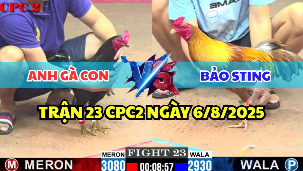 TRẬN 23 CPC2 NGÀY 6/8/2025 - KHÉT CỌP ANH BẢO STING KHÔNG CHO GÀ Ô TẢI CỰA 7 trận 23 cpc2 ngày 6/8/2025 hôm nay giữa bảo sting và anh gà con