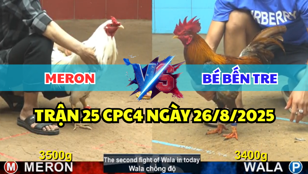 TRẬN 25 CPC4 NGÀY 26/8/2025 - KHÉT ANH BÉ BẾN TRE ĐÚP LỚP 7 trận 25 cpc4 ngày 26/8/2025 bé bến tre hôm nay