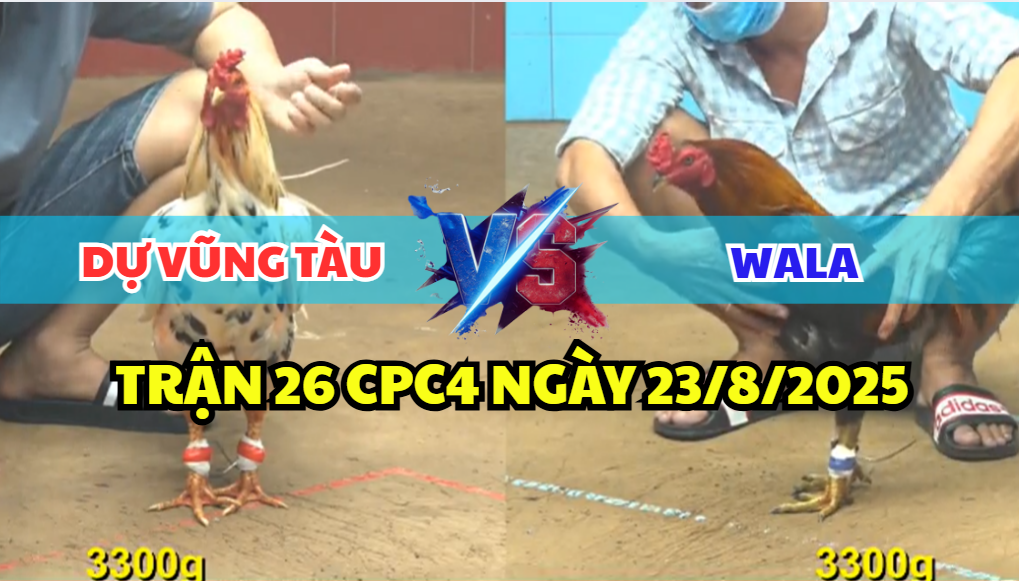 TRẬN 26 CPC4 NGÀY 23/8/2025 - ANH DỰ VŨNG TÀU HÒA TỨC TƯỞI 9 trận 26 cpc4 ngày 23/8/2025 dự vũng tàu hôm nay
